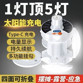 太阳能灯;吸顶灯;野营/露营灯