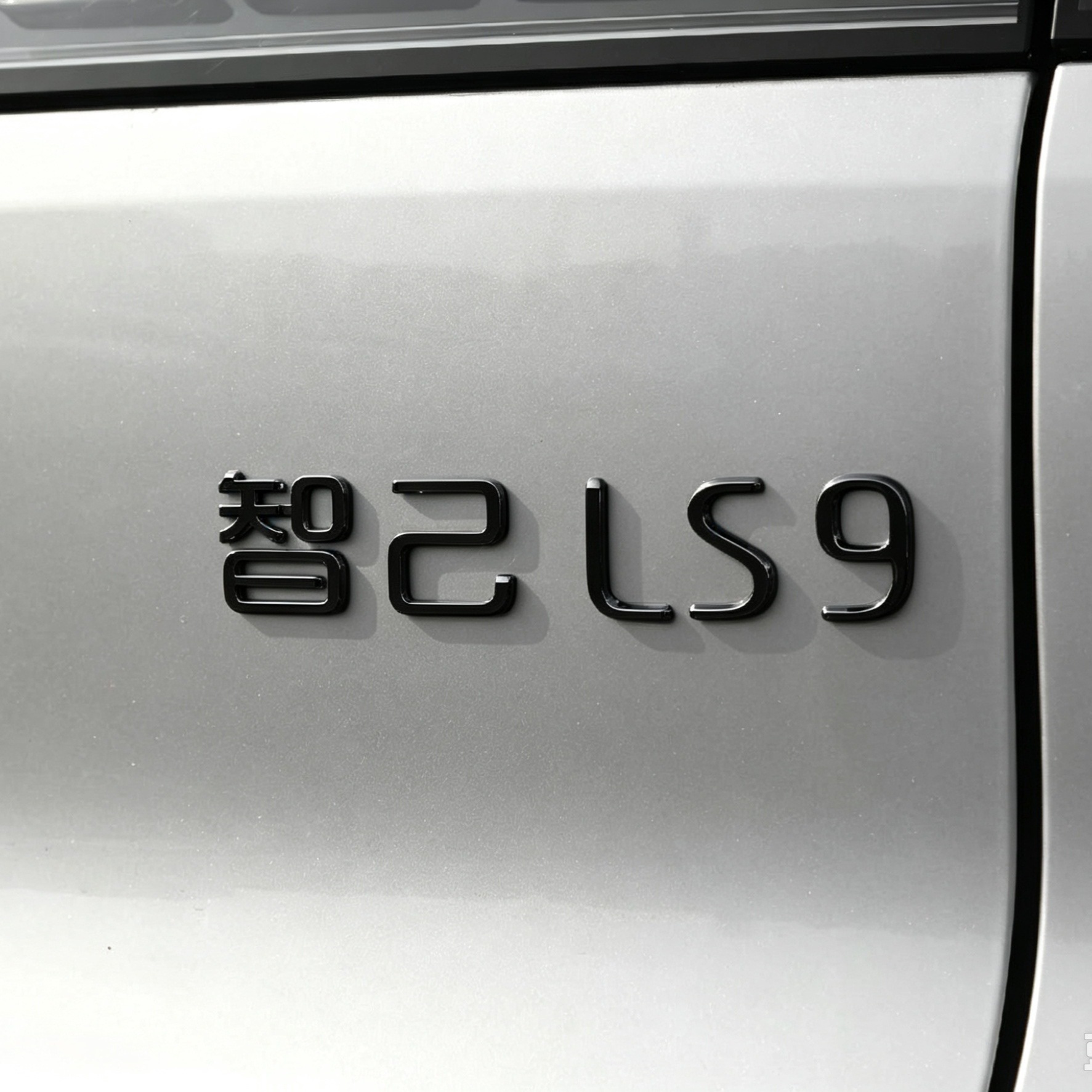 Suitable for Zhiji LS8 LS9 front and rear car emblems, Black Warrior modification upgrade personalized car emblem decorative stickers