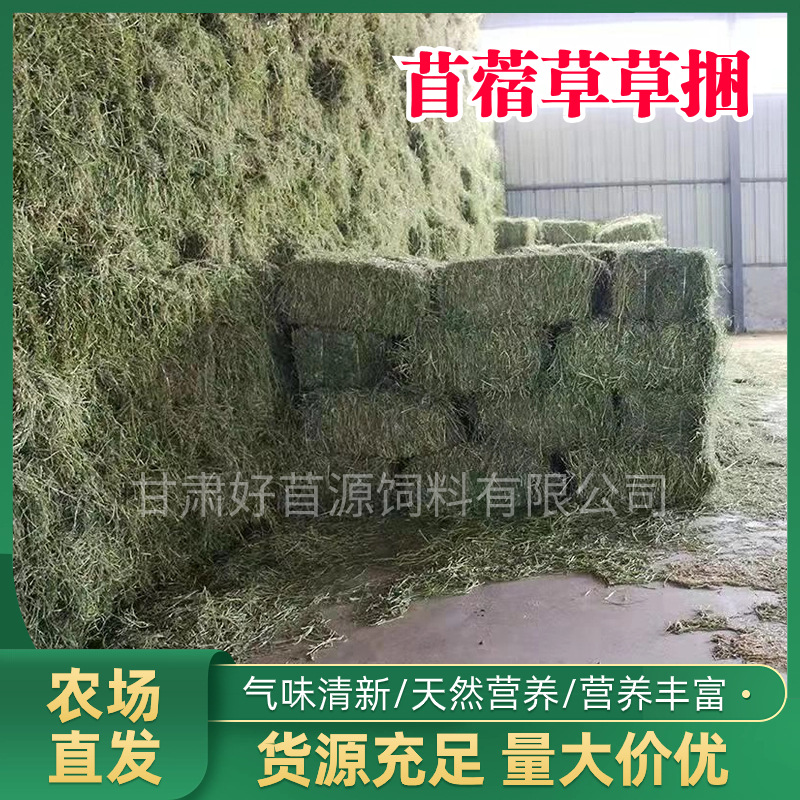 25年新草苜蓿草干草动物园羊驼马羊长颈鹿牧草料饲料紫花苜蓿草捆