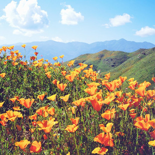 ������ݻ��N�� �ļ��׷N���^���ܻ��� �N��Rȫ�m�������û����