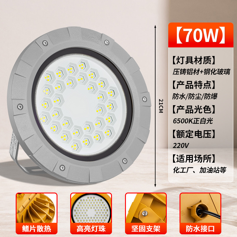 [그레이 라운드 EX 방폭등] 70W