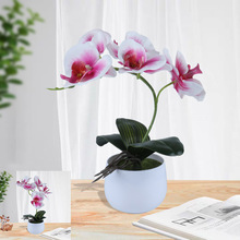 Sl滨߶ָ5^m 滨Ҿbc[