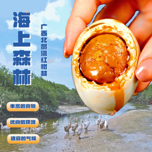 �V�������t���ֺ������������خa�������������������������伴ʳ