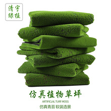 �S�ҷ�����̦̦�\ֲ�q��Ƥ�辰�b�ֲ�����̦�Gֲ�����ƺ���l