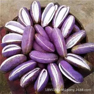 ���۹Ϲ�����¹������Ե�����ɫ����ը����Y��ͥԺ���ٹ�����