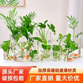密封盒储物罐;玻璃杯;水培植物瓶