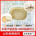 源头厂家批发沙蒿子透皮贴 亚宝同款沙蒿子 沙篙子饼贴包邮