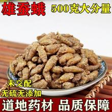雄蚕蛾 公蚕蛾魏天娥 未交雄蚕蛾男性泡酒500克包邮真货好货