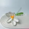 Open tulip white