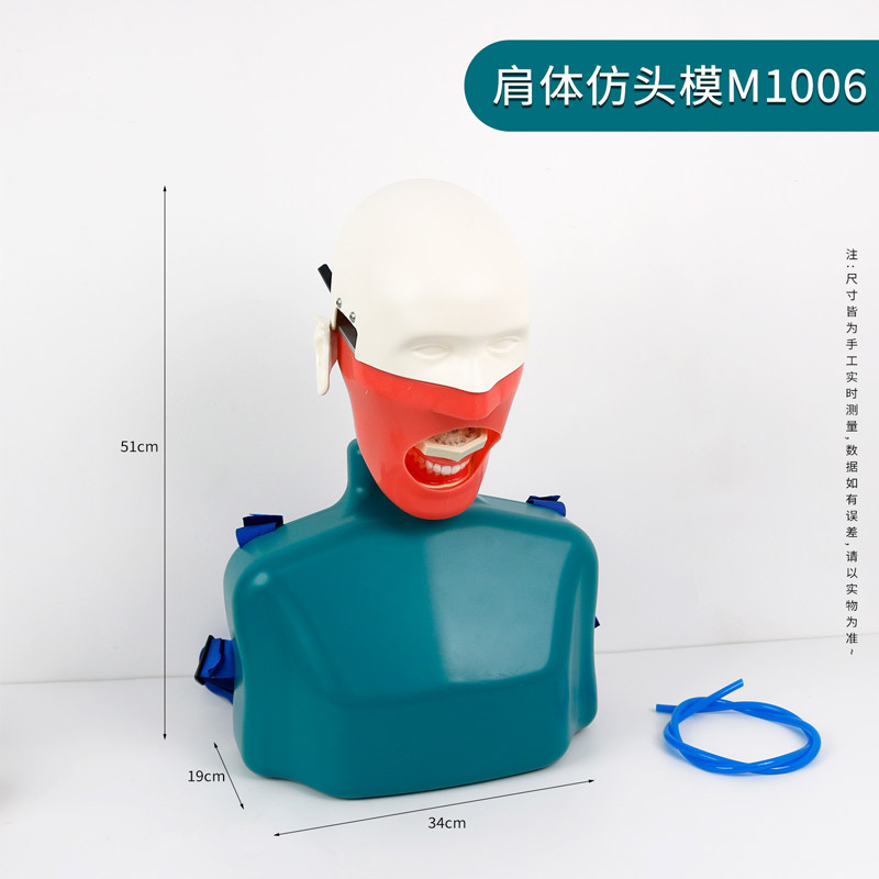 Modelo de cabeza dental simple simulación de ejercicio Modelo de cabeza desmontable Modelo de cabeza de enseñanza oral Modelo de preparación de dientes Modelo de dientes