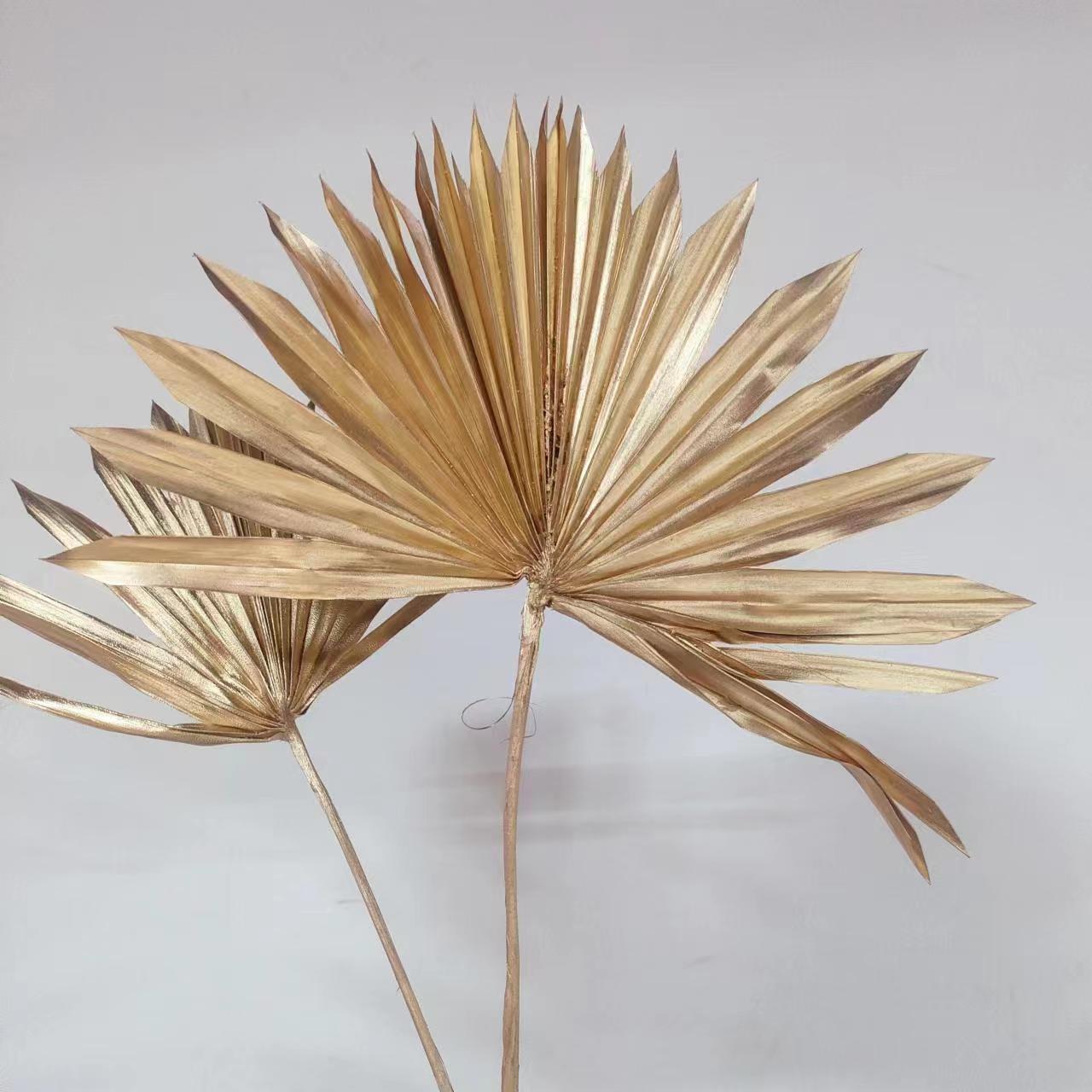 [Guanyin Fan] Dried flower palm leaf flower arrangement blades are…