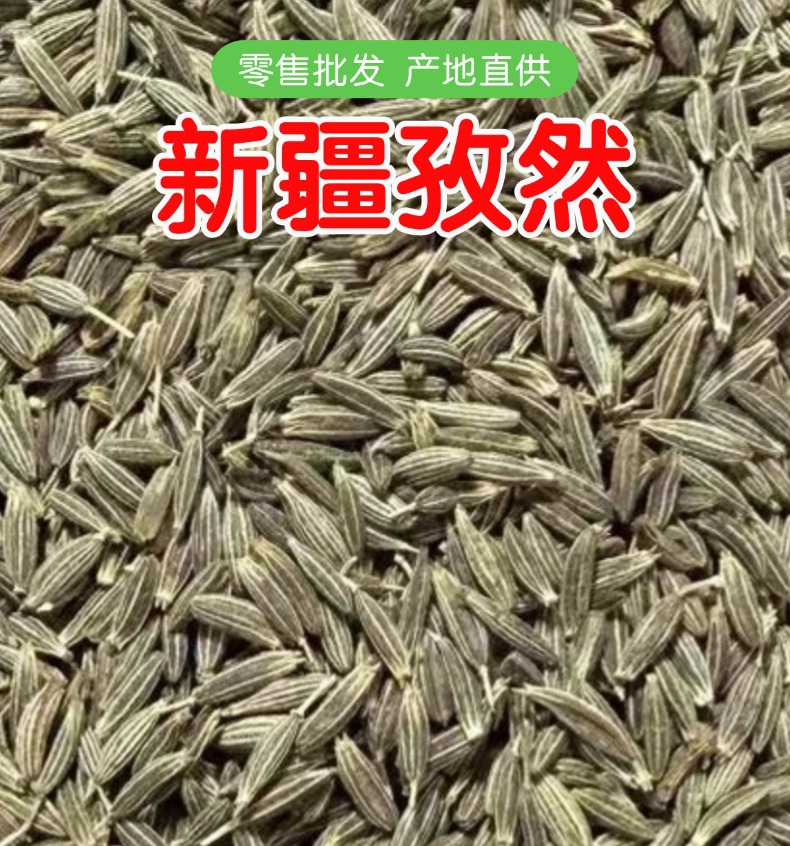 Xinjiang Cumin Seeds for BBQ Marinade and Roast Lamb Seasoning 500g overview