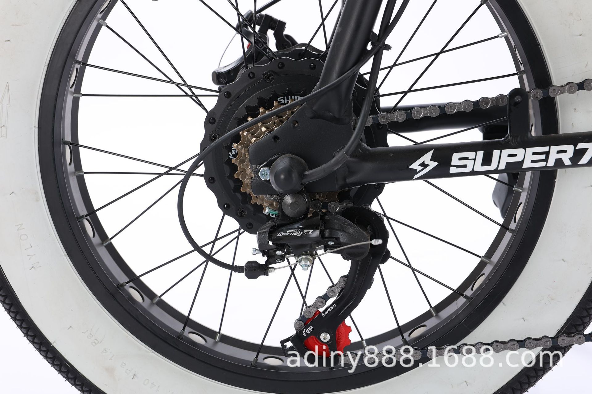 F39彩胎电动自行车