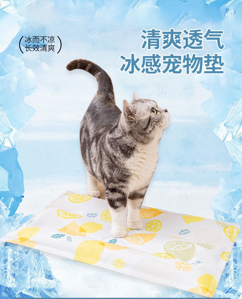 94f66064-04ae-4acc-965a-6abda8861d00.jpe