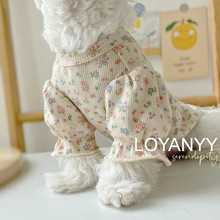 Kitten clothes bubble sleeve floral pet dog dog小猫衣服1
