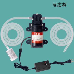 12v��ˮ�����������������΢�̓�ˮ�����ˮ�C��Ʊ�ֱ��������
