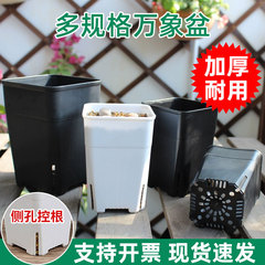 根をコントロールする万象盆のプラスチックは厚くて丈夫です。