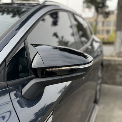 guard rearview mirror shell carbon — Other Automotive Exterior Supplies
