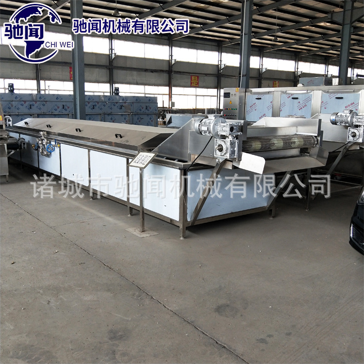 商用丸子蒸煮漂烫机 白菜萝卜辣椒漂烫冷却机 蔬菜漂烫杀青流水线