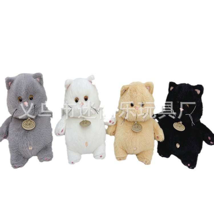 2024-03-05 15:50:10.jpg