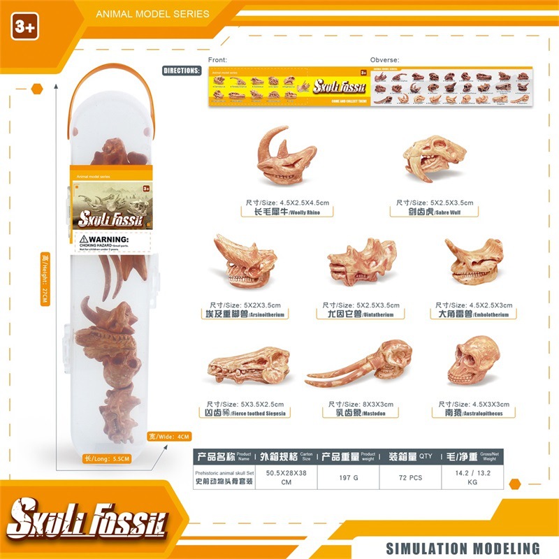 Simulación transfronteriza mini cráneo de dinosaurio modelo de cráneo animal prehistórico esqueleto traje fósil adornos estáticos enlatados