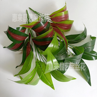 9�^ȸ���~  �ָз����^�z�Gɫ��Ѱ����F���~  �B��ާާ���