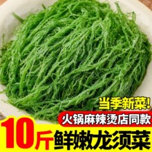 ��횲˷Ǹ�؛���ݾGɫ��횲˛���˺������ݺ�ʯ���˺���¹�ǲ�