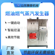 全自动燃油燃气蒸汽发生器食品蒸煮漂烫杀青烘干油炸杀菌智能控制