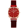 Swiss watch, strong magnet, quartz watches, women's watch, wholesale, simple and elegant design