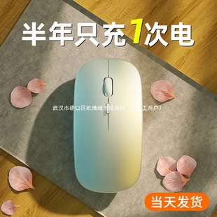 Wireless Mouse Bluetooth Dual Mode Charging Silent Home Office Laptop Desktop External Unlimited Mouse