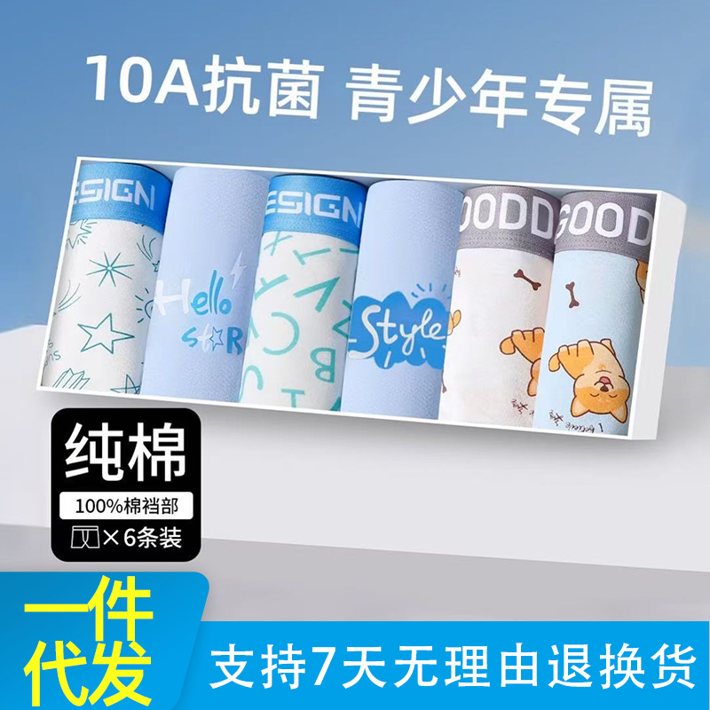 Taien Bear Youth Underwear Boys Development Period High School Students Junior High School Students Older Boys Category a Boxer Briefs