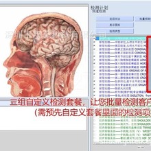 9d亚健康全科弱磁量子 18d弱磁场共振分析仪 21d量子智能检测仪一