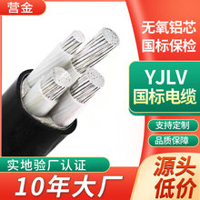 廠家現貨鋁芯YJLV2芯10平方輻照交聯低壓電力電纜電力行業聚氯乙