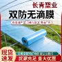 抗老化透光塑料大棚无滴膜