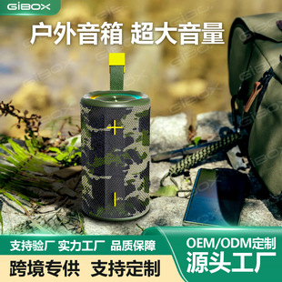 �羳�¿�A318pro�{�������ˮ��������10W������RGB�ʟ����W���