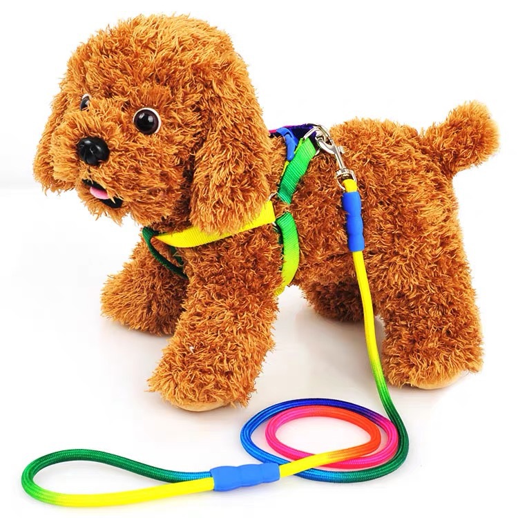 Correa de perro colorido pecho Correa hogar al aire libre perro cadena Teddy pequeño perro cuerda Correa perro