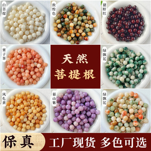 �������u������ɢ������ֹ�diy�����ִ�������������ɢ�����l