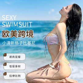 泳衣女性感火辣比基尼小清新格子印花三点式小胸聚拢显瘦分体泳衣