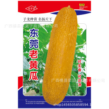 �T�����N�ӘI�S��ֱ�����������ش����ķN�Nֲ�߲��� �|ݸ���S