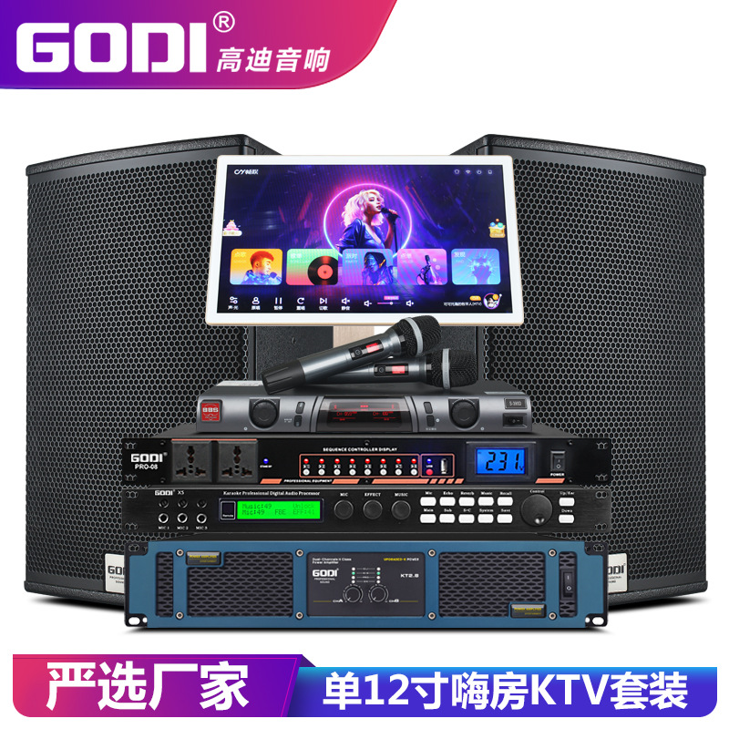 Godi Professional Bar Ktv Audio Set Single 12inch Home Karaoke Room Stage Speaker Karaoke Machine Full Set