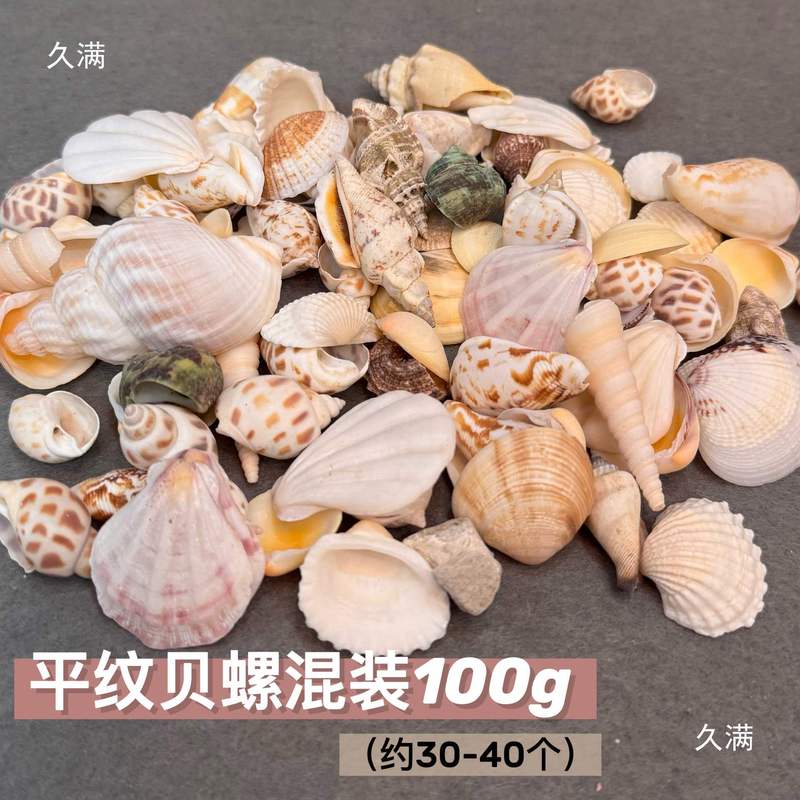石塑粘土贝壳冰箱贴手工制作DIY海螺贝壳玛瑙免烧免考材料包|undefined