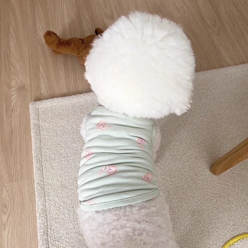 Versión coreana de la ropa de perro de peluche de dos patas para mascotas de dos patas