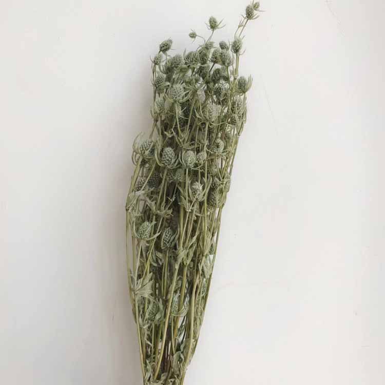 얕은 카키 [약 100]