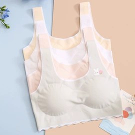 少女文胸;裹胸、抹胸;女士背心