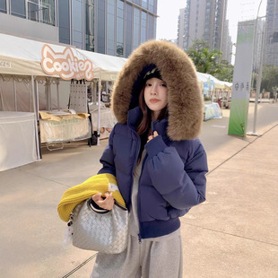 ������q��Ů�̿�С����2025�����¿�����q�Ӻ��ë�I���������