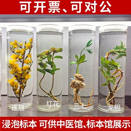 标本;教学演示用品;相框、画框