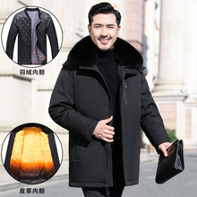 正品高档冬季鹅绒中老年爸爸男装羽绒服黄金貂内胆保暖中长款外套