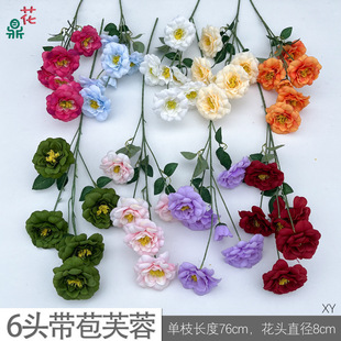 6�^����ܽ�� 3�^ܽ�ػ� �Ƶ깰�T�廨�ٻ� ��Y�õ��Ų��÷��滨
