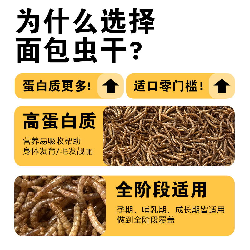 面包虫干黄粉虫大麦虫黑水牤蟋蟀干鸟食饲料高蛋白仓鼠龟粮鱼粮斤
