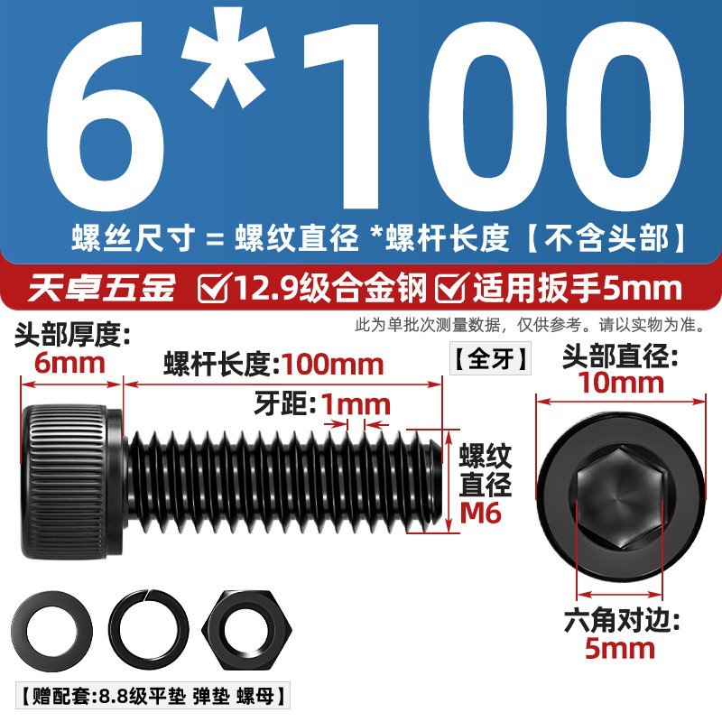 Болт Tianzhuo Wujin M6x100